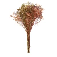 Piccolo bouquet di fiori secchi mini fiori secchi lavanda ed