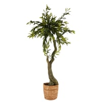 Pianta artificiale di ulivo 180 cm con tronco in legno naturale e frutti ML design