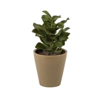 Outsunny Lot De 2 Bambous Artificiels Hauteur 1,5 M 644 Feuilles Denses