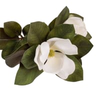 Bouquet Di Magnolia Bianca Fioritura Fiori Bianchi Fiori Di Nozze Fiori