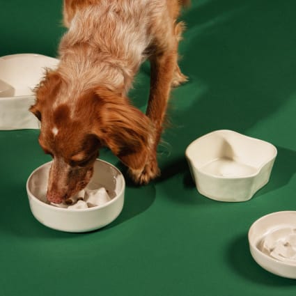 Gamelle Anti-glouton Pour Chien - Distributeur De Nourriture Lent Avec Jeu - Base Antidérapante - Pour Intérieur/extérieur