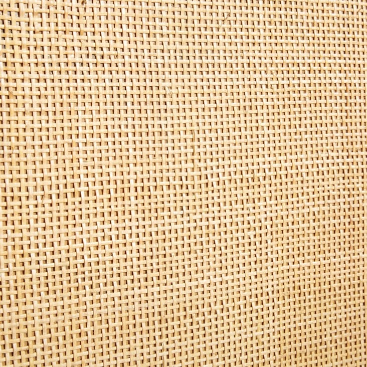 Armoire 2 portes en manguier massif et rotin Helios Maisons du Monde