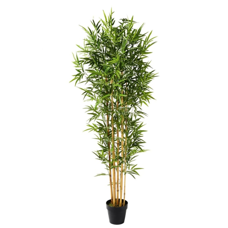 Plante artificielle bambou - Vert - Home All