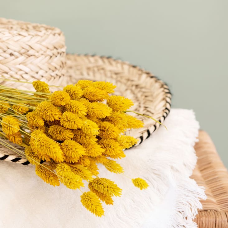 Bouquet de phalaris jaune séchées ambiance-2