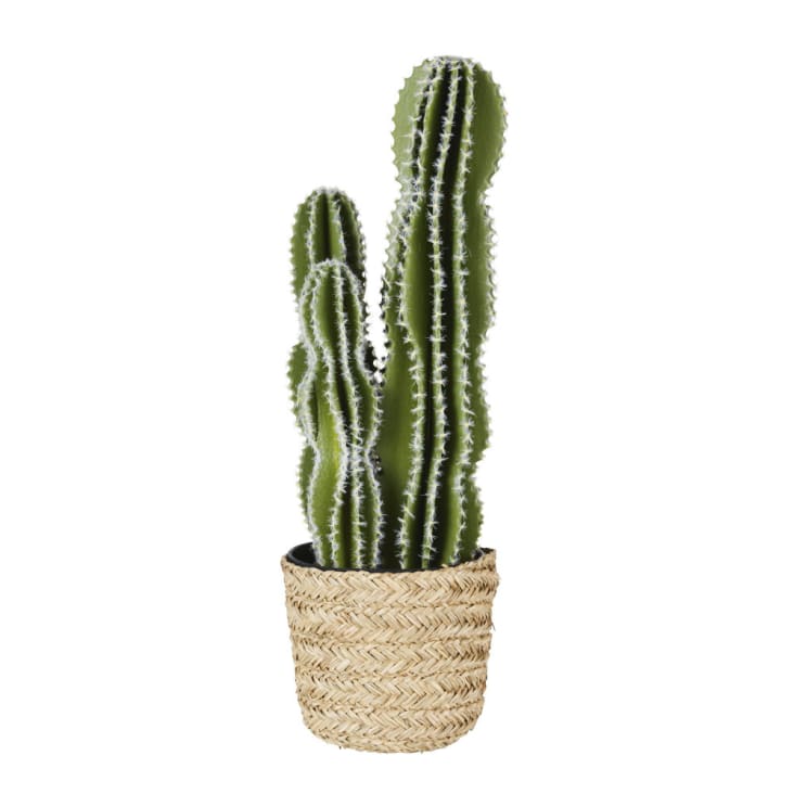 Cactus artificiel et pot noir-TANJA
