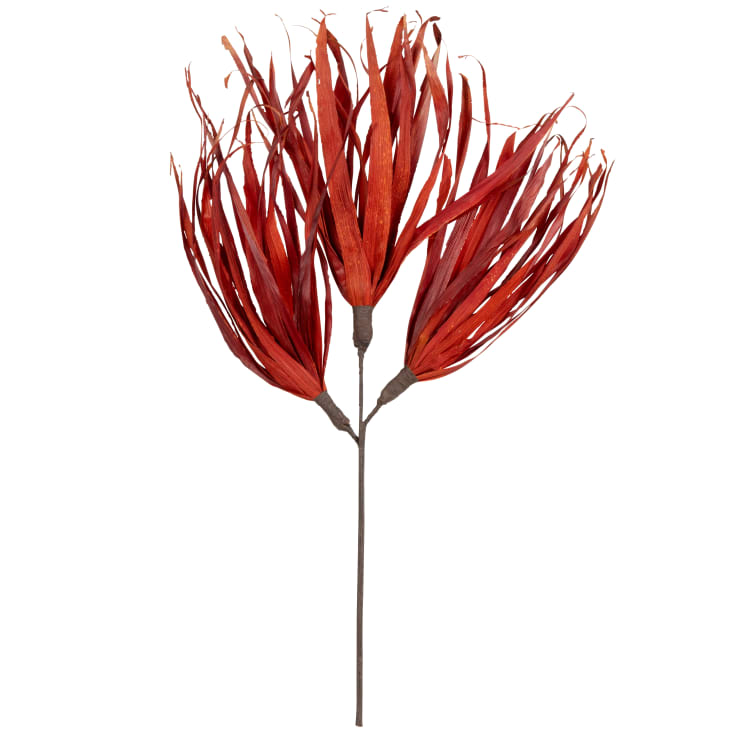 Dried Palm Leaves Poster - Beige gedroogde palmbladeren