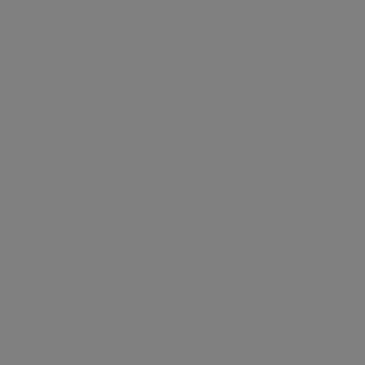 Paniers de rangement gris imprimé animaux (x2)-SAVANE ambiance-6