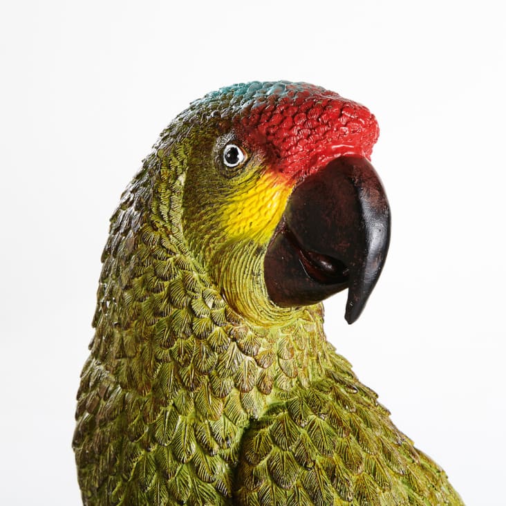 Papagaio verde com suporte de metal preto-Jaco cropped-2
