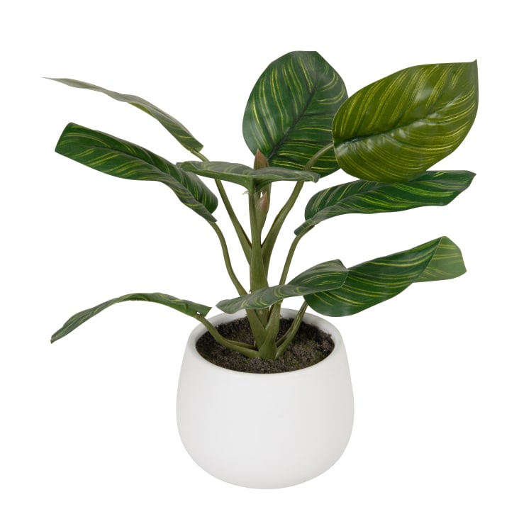Pianta Artificiale Orchidea H75 cm con Vaso Bianco – acquista su Giordano Shop