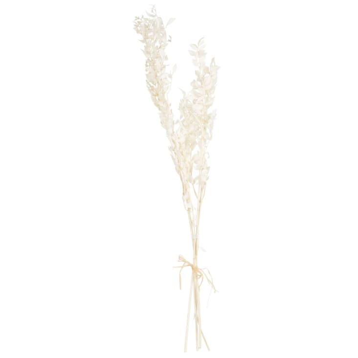 Ramillete de flores secas blancas CAMILLE Maisons du Monde
