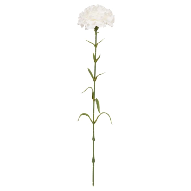 Rosa Natale a stelo cm. 56 con 3 fiori - Bianco Colore Bianco TIPO DI FIORE Rosa TIPOLOGIA Aperta
