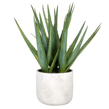 Aloe vera artificiale con vaso