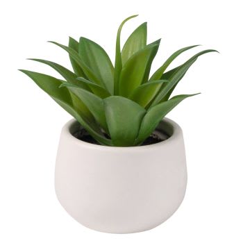 Artificial Aloe Vera in White Ceramic Pot