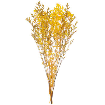 BOHEME - Boeket met gele gedroogde bloemen