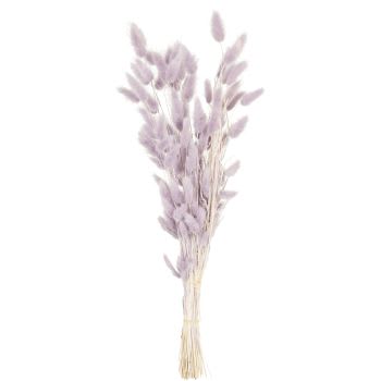 PARME - Bouquet di coda di lepre viola