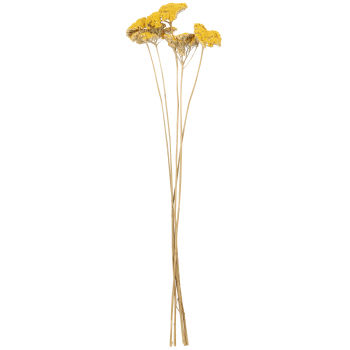 Lotto di 2 - Bouquet di fiori essiccati gialli