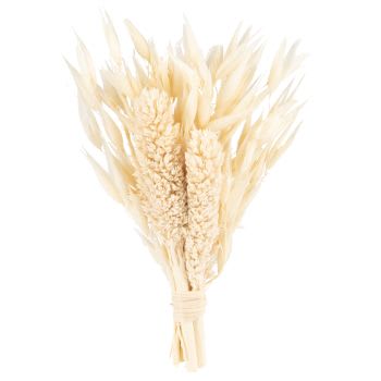 Lot de 8 - Bouquet éléments séchés beiges