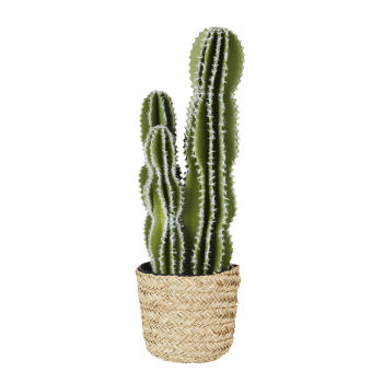 TANJA - Cactus artificiel et pot noir