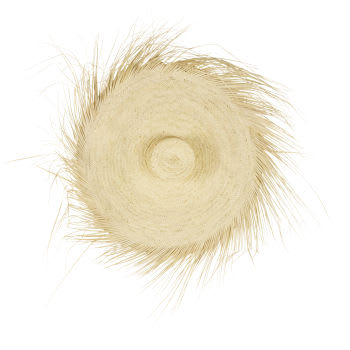 IVY - Decorazione da parete cappello in fibra vegetale beige 90x90 cm