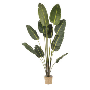 RAVINALA SAKA  - Künstliche Pflanze im Geflechtübertopf