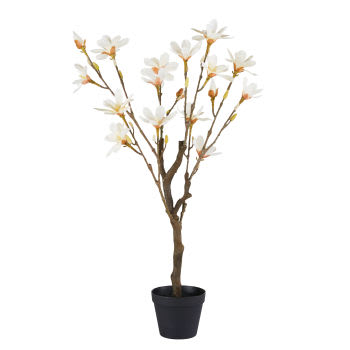 Ales - Kunstmatige magnolia H98
