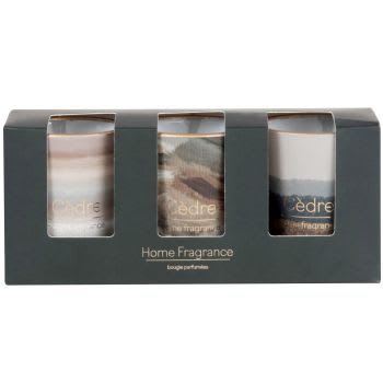 USSEL - Lot de 3 bougies parfumées en verre imprimé (3x45g)
