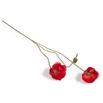 Set aus 2 - Mohnblumen, H 73 cm, rot 