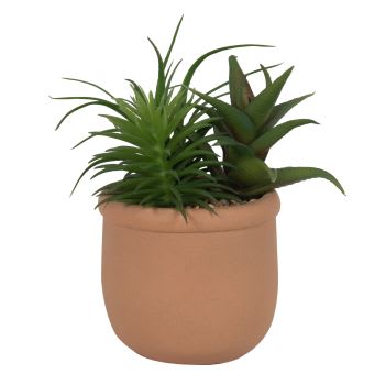 Pianta Grassa Artificiale Pensile Asa Selection 30cm - Finta Sempre Verde Per Decorazione