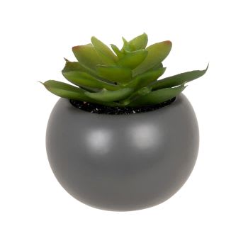 ALMA - Lotto di 2 - Pianta grassa artificiale con vaso grigio