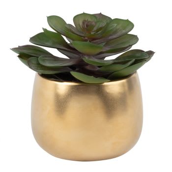 Planta suculenta artificial em vaso de cerâmica com motivos