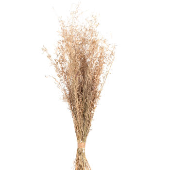 BARAN - Lote de 2 - Ramo de flores secas castanhas