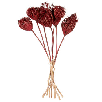 TULIN - Set aus 3 Trockenblumen, rot