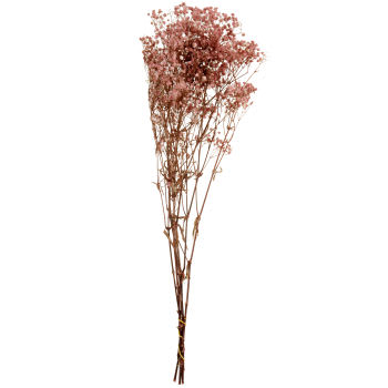 ROSY - Strauß aus altrosafarbenen Trockenblumen
