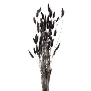 Strauß aus getrockneten Weidenkätzchen, schwarz