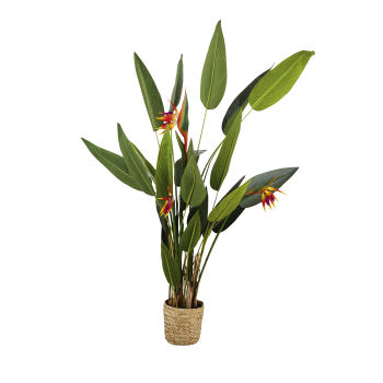 ZAMBIA - Strelitzia kunstplant in gevlochten pot H180