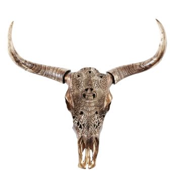 Wild - Trofeo de pared de cabeza de búfalo esculpido marrón 73x73