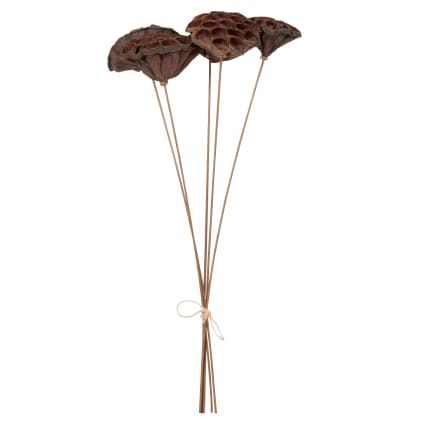 Support De Tige D'ikebana En Spirale 5 Pièces, Support De Tige En Spirale Pour Vases, Support D'arrangement De Fleurs Twister Pour Bouquet DIY | Leroy Merlin