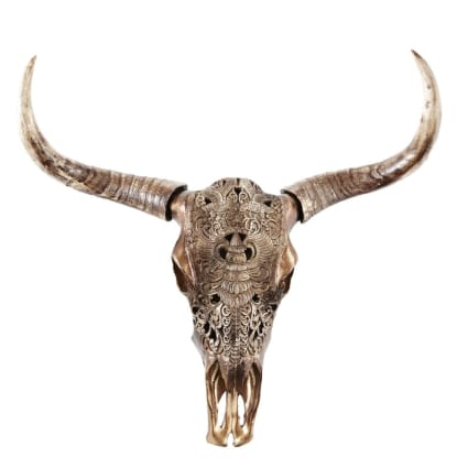 2 Conchas Occidentali Alloy &ndash; Testa Di Bufalo/Bisonte &ndash; Attacco A Vite