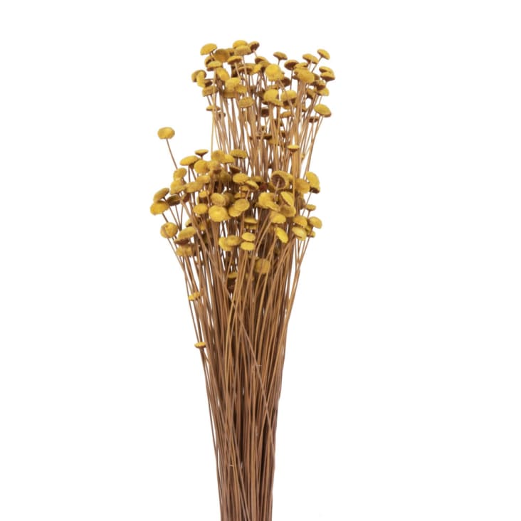 Bouquet Di Fiori Secchi (3 Mazzi) - Lagurus, Nigella E Riceflower, Decorazione Naturale Duratura Per Casa!