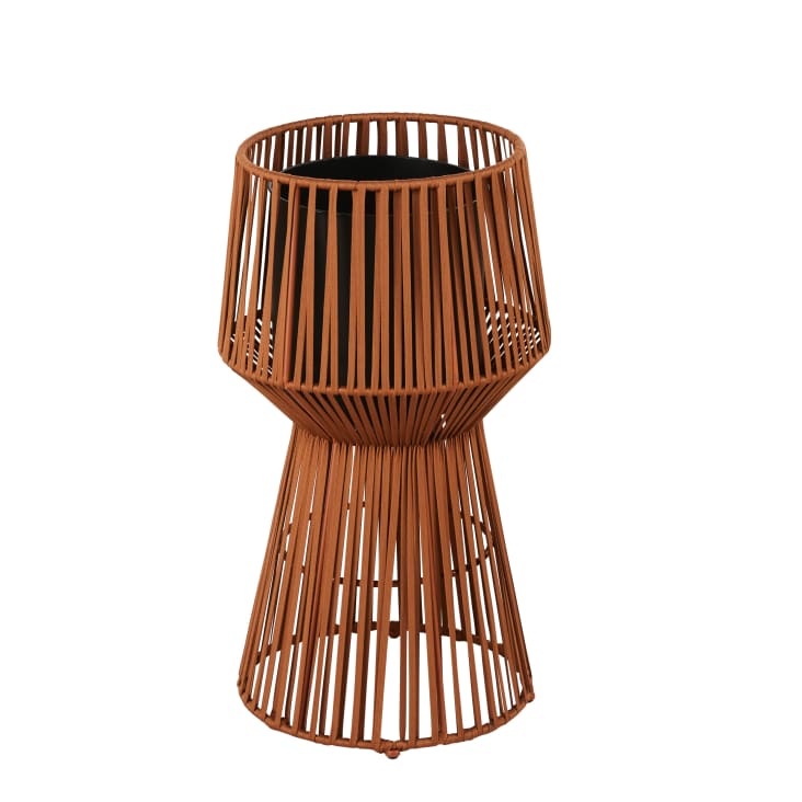 Treillis De Jardin, Métal, Lot De 2, à Planter, Tuteur Pour Plantes