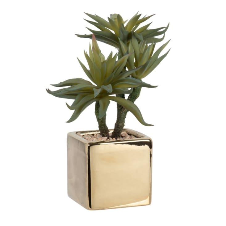Cactus artificiale con vaso in gres dorato