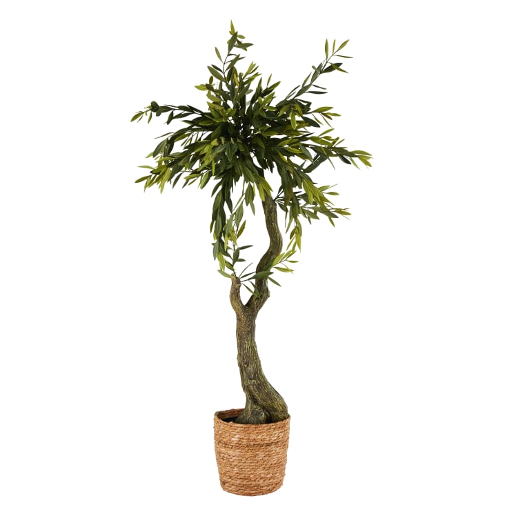 Künstlicher Olivenbaum und Übertopf aus geflochtenem Rattan Olea