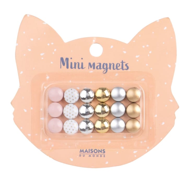 Mini magnets multicolores (x18) CAT