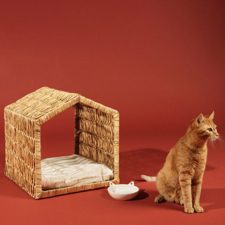 Panier Pour Chat Pyramide Tressé Main En Jacinthe D'eau - 41x41x60 Cm, Pieds Bois 20 Cm, Coussin Lavable, Design Naturel