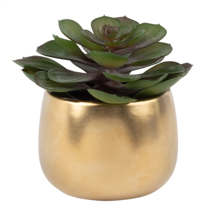 Set 3 piante grasse artificiali e vaso con scritta dorata