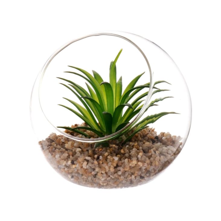 Plante artificielle et boule en verre