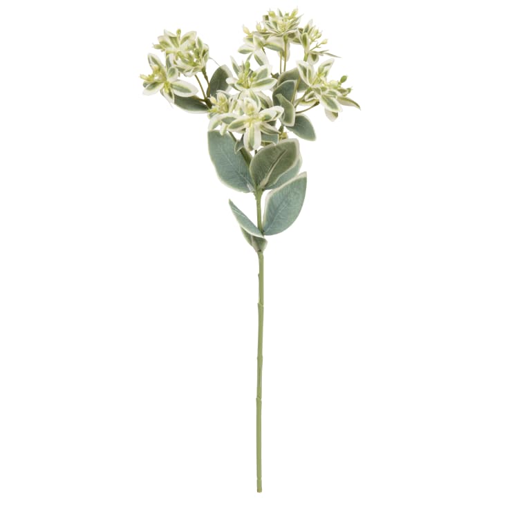 Avoeco 15 Steli Artificiali Misti Verde – Eucalipto, Orecchie D'Agnello E Plettri Per Bouquet, Composizioni E Decorazioni - 3
