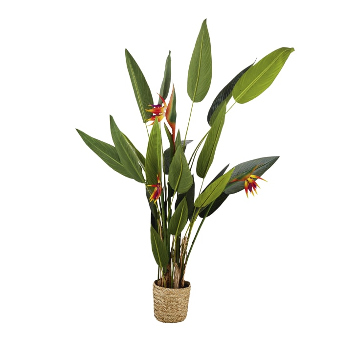 Pianta Artificiale Strelitzia Tropicale, 97 Cm Di Altezza, Con Vaso Nero Opaco, Per Interni, Ufficio, Soggiorno, Realistica E Senza Manutenzione