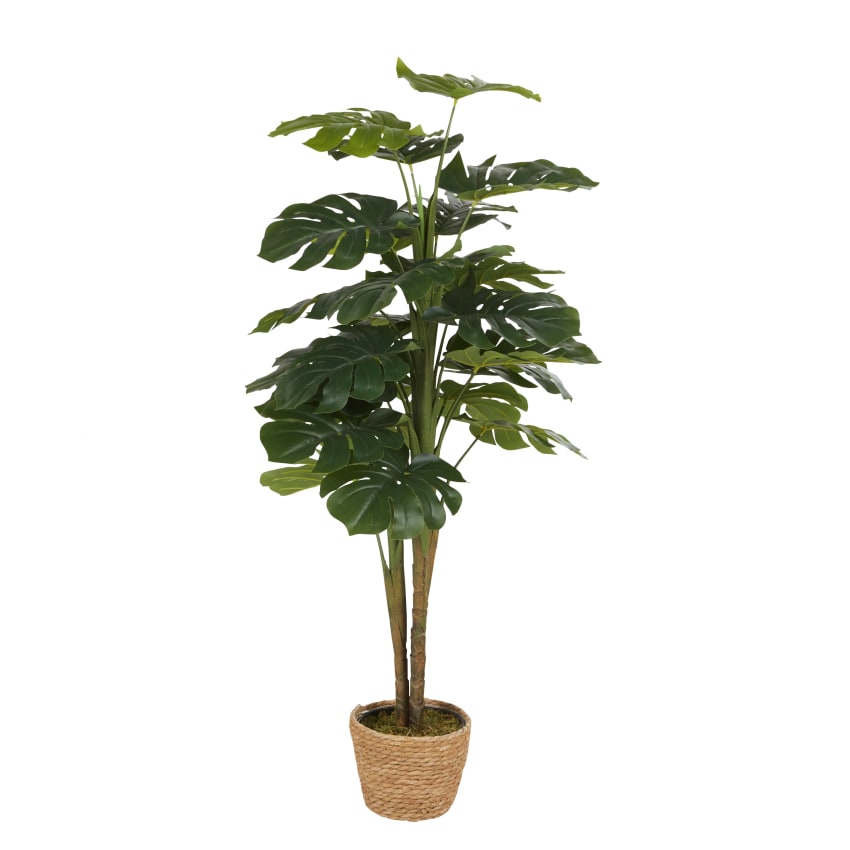 Knstliche Monstera-Pflanze im Topf Sina | Maisons du Monde