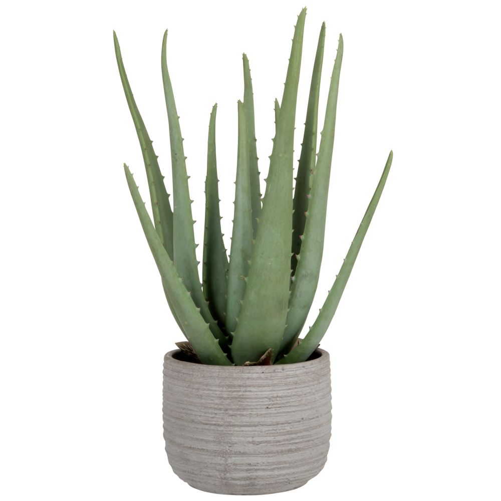 Aloe vera artificiel et pot en ciment gris Aloe vera artificiel et pot en ciment gris